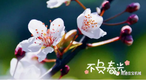 每一個(gè)春天都會(huì)如約而至，南通佳寶與您同在